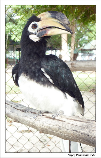 2009   08   Kho samui 52